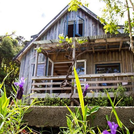 Fern Lodge Coromandel Extérieur photo