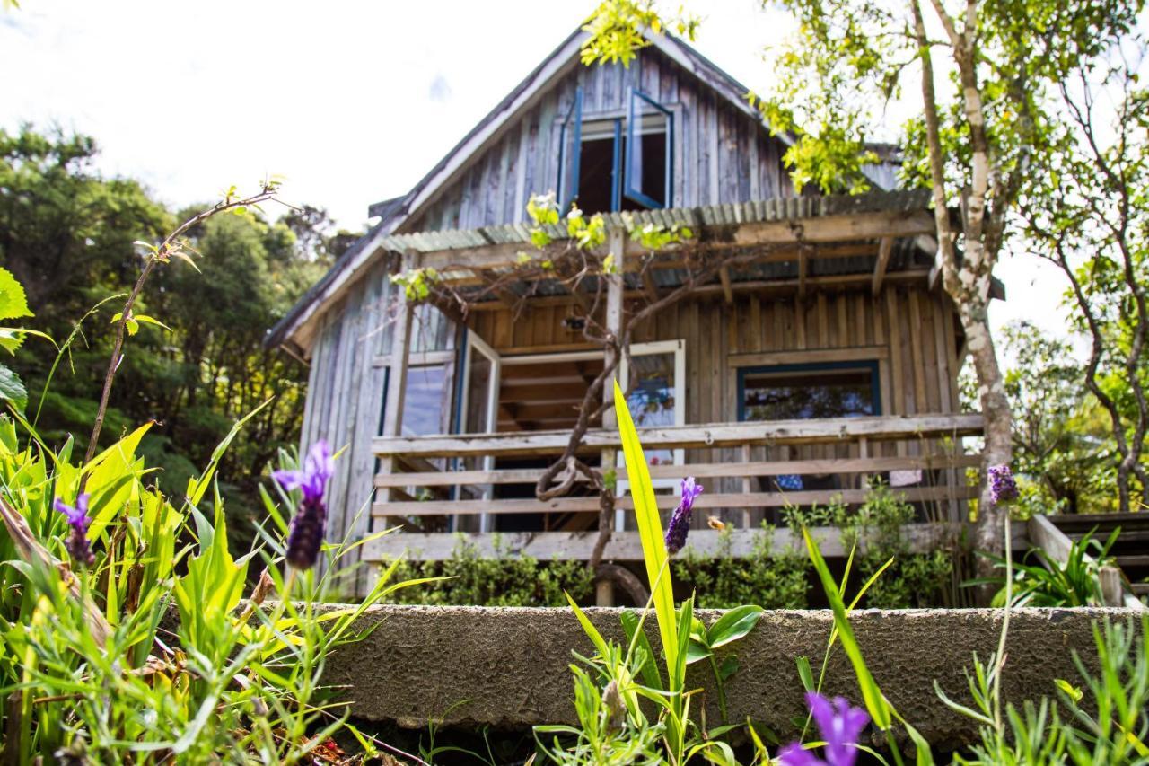 Fern Lodge Coromandel Extérieur photo